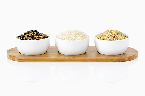 Eine Darstellung von Reisprotein