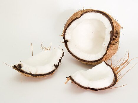 Eine Darstellung von Kokosnuss