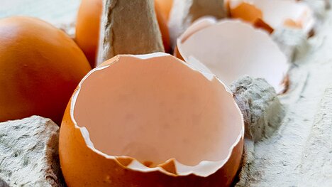 Eine Darstellung von Eierschalenpulver