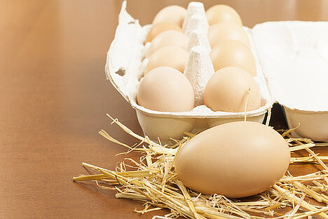 Eine Darstellung von Eier und Eierzeugnisse