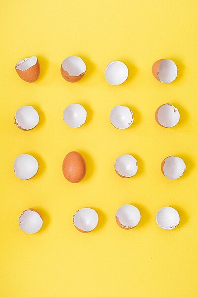 Eine Darstellung von Eierschalen
