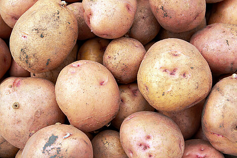 Eine Darstellung von Kartoffelprotein