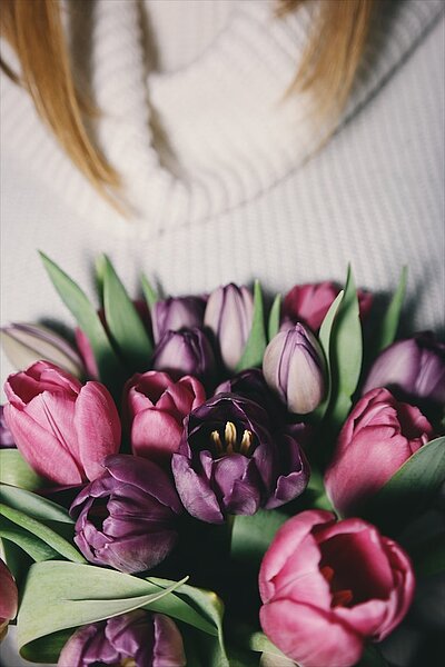 Eine Darstellung von Tulpen