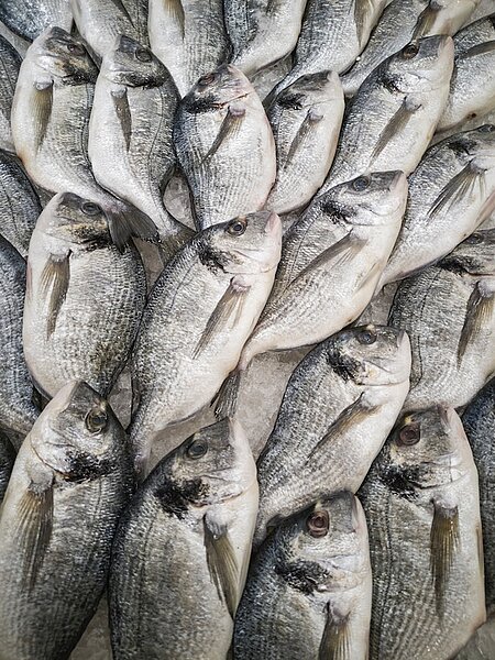 Eine Darstellung von Fischnebenerzeugnisse