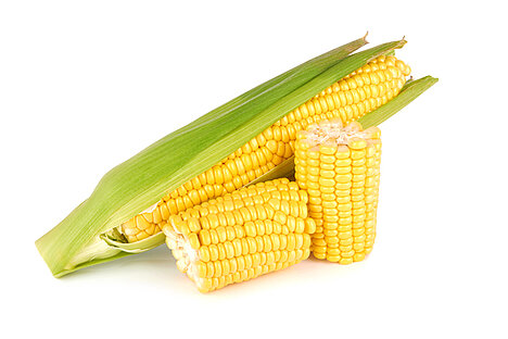 Eine Darstellung von Maisprotein