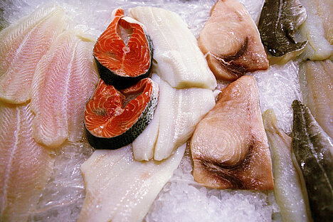 Eine Darstellung von Fisch und Fischnebenerzeugnisse