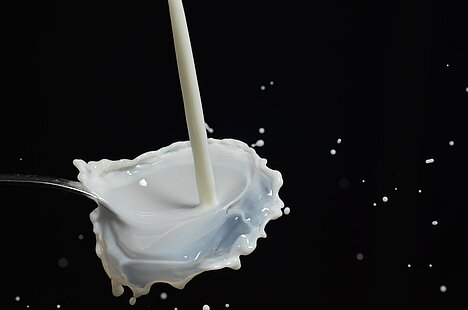 Eine Darstellung von Milchprotein
