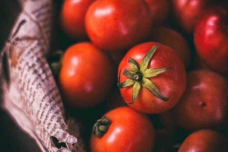 Eine Darstellung von Tomaten