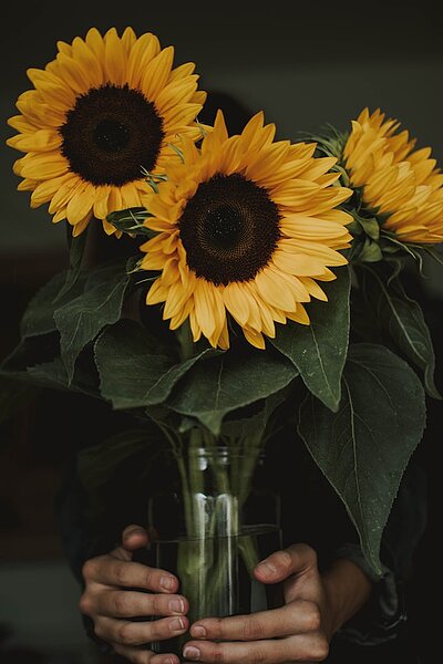 Eine Darstellung von Sonnenblumen
