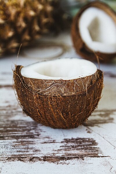 Eine Darstellung von Kokosnussmilchpulver